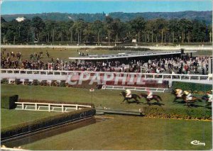 Modern Postcard Soisy sous Montmorency (Seine et Oise) Field of Racing Horses...