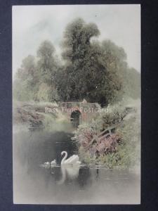 Greeting: shows Swans on the Water / Canal c1903 UB by Meissner & Buch 1189