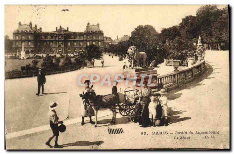 Old Postcard Paris Jardin Du Luxembourg Le Senat Children Ane