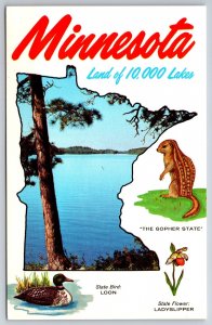State Bird Shape Map Nickname & Flower of Minnesota~Vintage Postcard