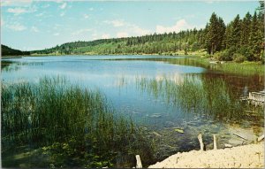 Lac Le Jeune Kamloops BC British Columbia Unused Postcard G25