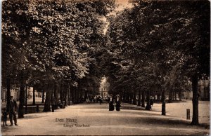 Netherlands Den Haag Lange Voorhout The Hague Vintage Postcard C019