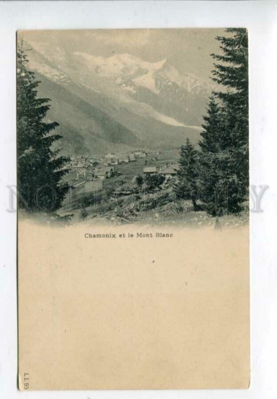 3158421 France CHAMONIX Mont Blanc Vintage postcard