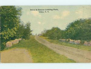 Unused Divided-Back ROAD AT ROSCOE CONKLING PARK Utica New York NY r7761