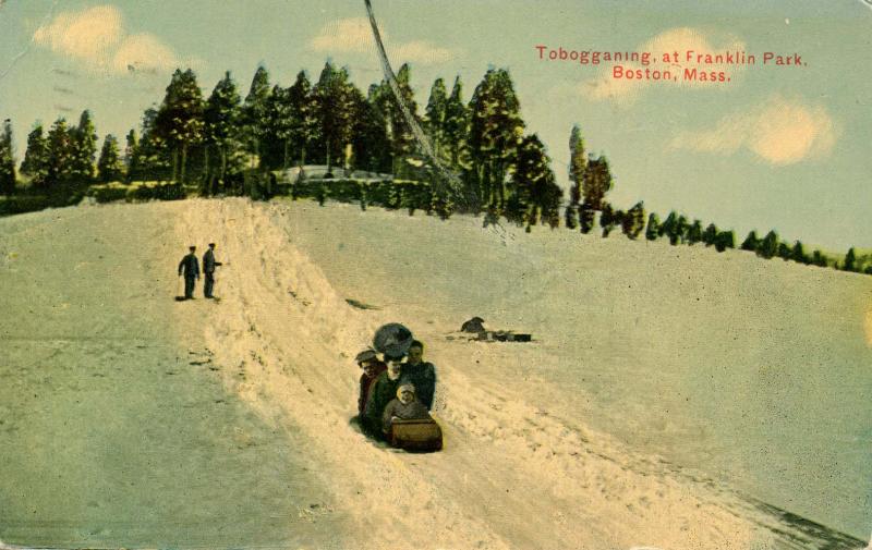 MA - Boston. Franklin Park, Tobogganing