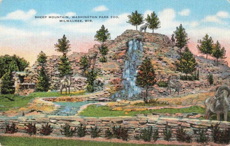 Postcard Sheep Mountain Washington Park Zoo Milwaukee Wisconsin 