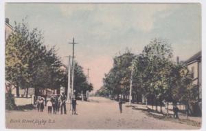 Canada Digby NS Birch Street 1900's Colored Postcard View