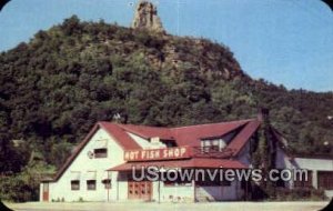 Hotel Fish Shop - Winona, Minnesota MN Postcard