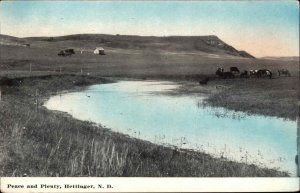 Hettinger North Dakota ND Peace and Plenty Farm Scene c1910 Postcard