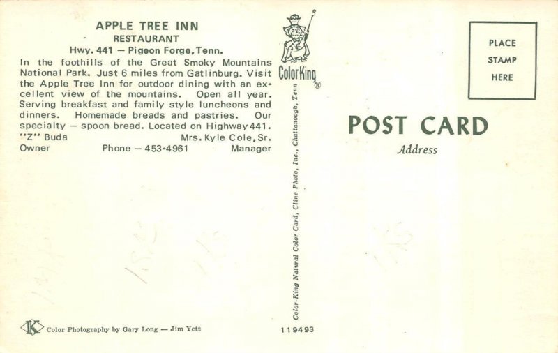 Pigeon Forge, TN Tennessee  APPLE TREE INN RESTAURANT~Z Buda  ROADSIDE  Postcard