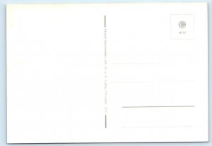 Gruss aus Hitzacker GERMANY 4x6 heraldic Postcard