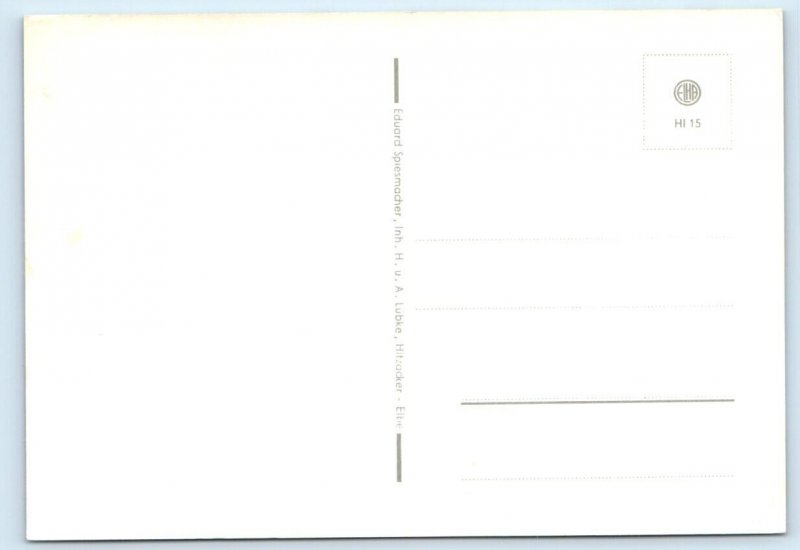 Gruss aus Hitzacker GERMANY 4x6 heraldic Postcard