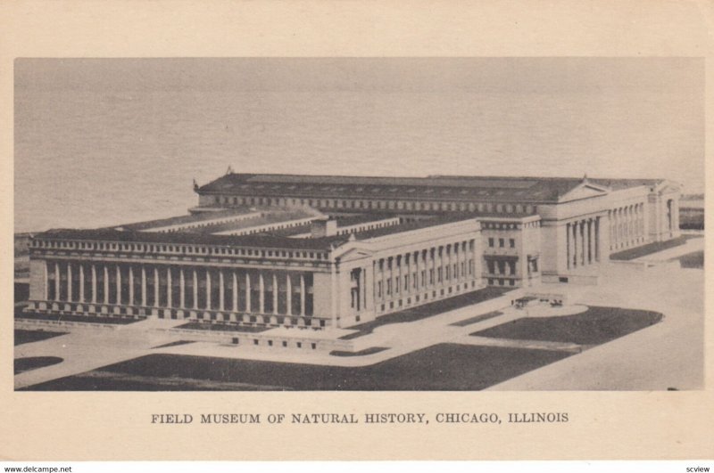 CHICAGO , Illinois , 00-10s ; Museum of Natural History