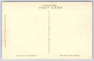 Storm King Highway Across Hudson River New York Mountain Highest Point Postcard