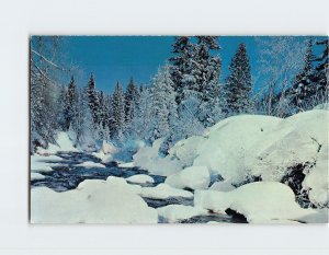 Postcard Winter Beauty