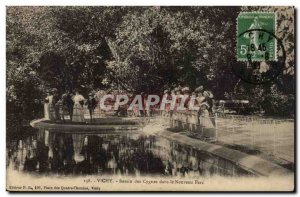 Vichy - Swan Basin in the New Park Old Postcard