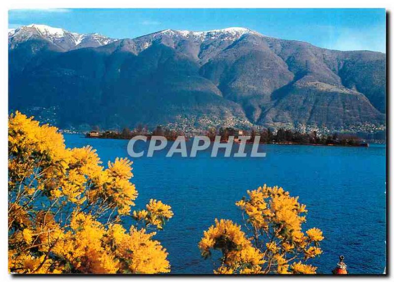 Postcard Modern Brissago Lago Maggiore