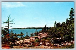 Scene Near Key Harbour Lodge, Britt, Ontario, Vintage Chrome Postcard