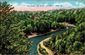 The Gorge and River, Ashtabula OH Vintage Postcard G26