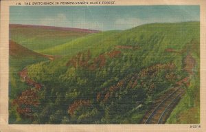 The Switchback in Pennsylvania's Black Forest Vintage Linen Postcard
