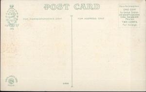 Florida Pecan Grove c1910 Postcard - Agriculture