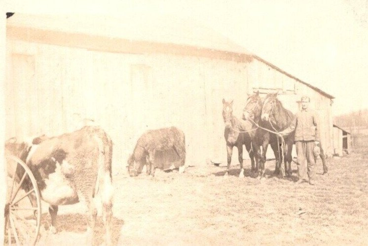 RPPC  Farmer With Horse Team  Sepia Toned  - Real Photo Postcard  c1917