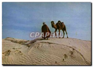 Modern South Postcard Tunisian Chamelier on the dune