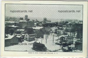 Birds Eye View, Clyde NY