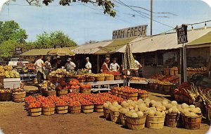 Roadside Fruit Market Throughout Michigan's Fabulous Fruit Belt Misc MI 