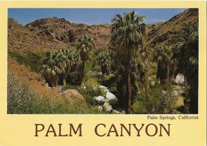 Palm Canyon Wilderness Area Palm Springs California 4 by 6