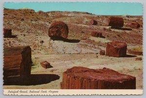 National Park~Petrified Jasper Forest Arizona~Agatized Logs~Continental Postcard