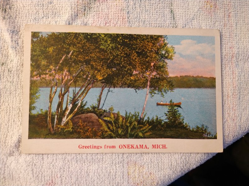 1920's Greetings from Onekama, Michigan Scenic View Postcard