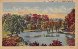 Waukegan Illinois~Roosevelt Park Scene~Trees Along Pond on Fall~1940s Linen Pc