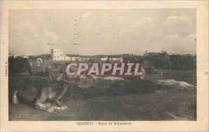 Old Postcard Djibouti Repo of Domadaire