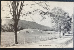 Mint USA Real Picture Postcard Maine Highway Scene