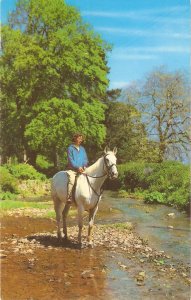 Horse and Rider Nice vintage English postcard