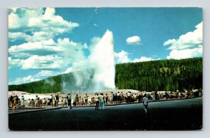 Old Faithful Geyser Upper Basin Yellowstone National Park Postcard PM Wyoming WY 