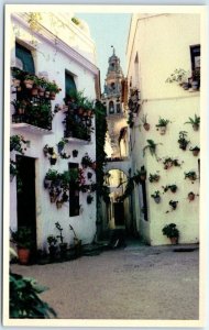 Postcard - Flower Street - Córdoba, Spain