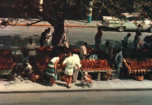 Curio Sellers ,Mombasa,Kenya