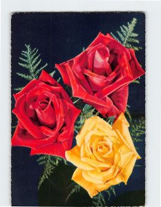 Postcard Three Roses