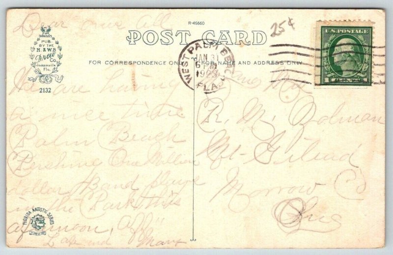 Vintage Florida Postcard - December in Florida