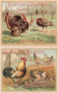 Huntley & Palmers Reading Hen Farming 2x Old Trade Cards