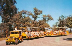 ARBORETUM JEEP TRAINS Guided Tour ARCADIA, CA Los Angeles 1960s Vintage Postcard