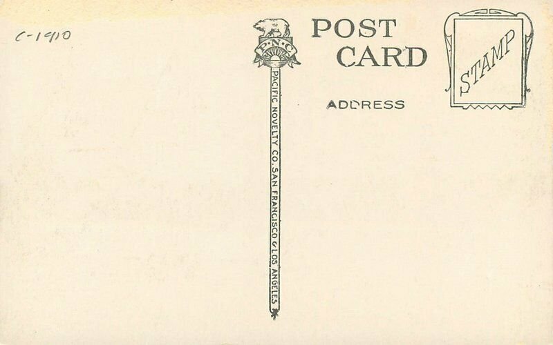 California C-1910 Feathe River Inn Pacific Novelty Postcard roadside 6045 