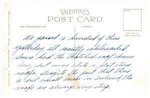 Ireland    Irish Homestead