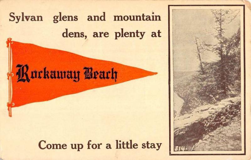 Rockaway Beach New York? Scenic View Pennant Flag Antique Postcard K106167