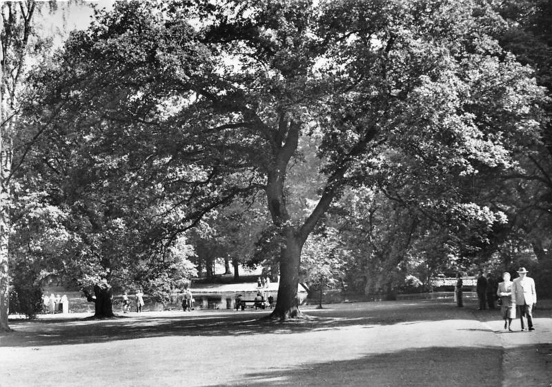 BG2027 bad driburg im naturpark  CPSM 14x9.5cm germany