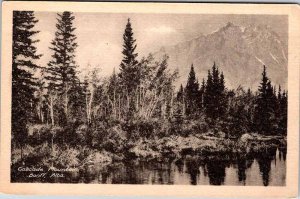 Postcard NATURE SCENE Banff Alberta AB AK5426