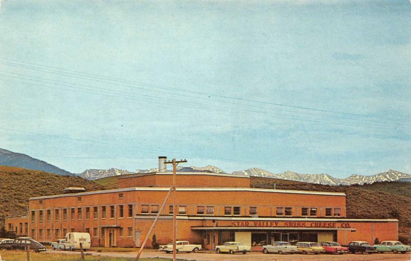 Star Valley Swiss Cheese Company, Thayne, WY Roadside ca 1950s Vintage Postcard