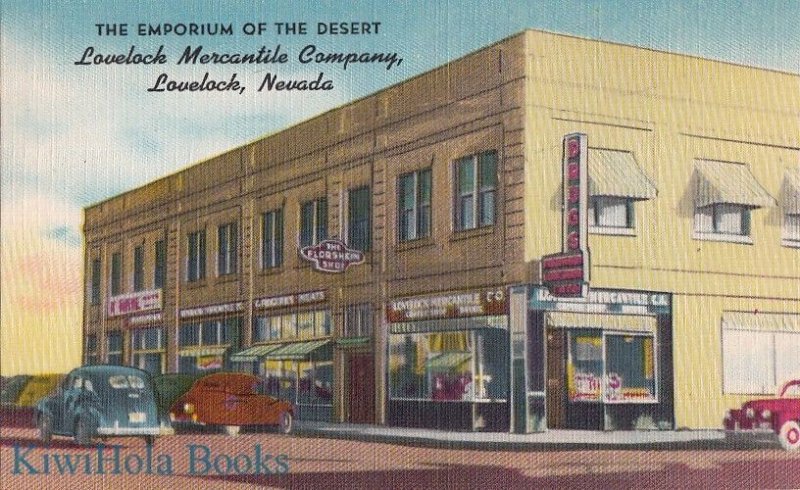 Postcard Emporium Desert Lovelock Mercantile Co Lovelock Nevada NV